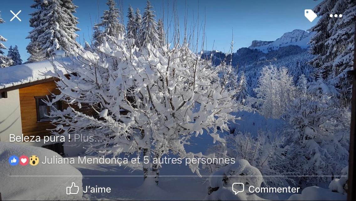 Route Des Joncs 300 Appartemen Les Paccots ภายนอก รูปภาพ